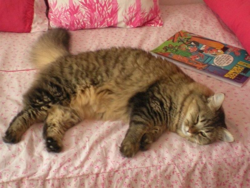 On infinite tenderness